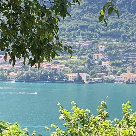 Apartment Casa Dono Il Lago Pognana Lario エクステリア 写真
