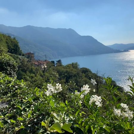 Apartment Casa Dono Il Lago Pognana Lario エクステリア 写真