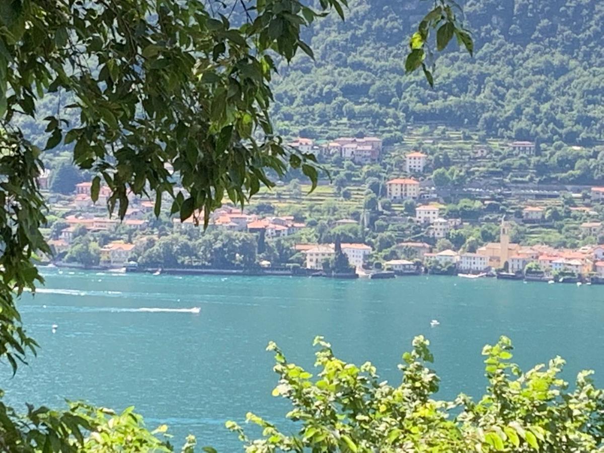 Apartment Casa Dono Il Lago Pognana Lario エクステリア 写真