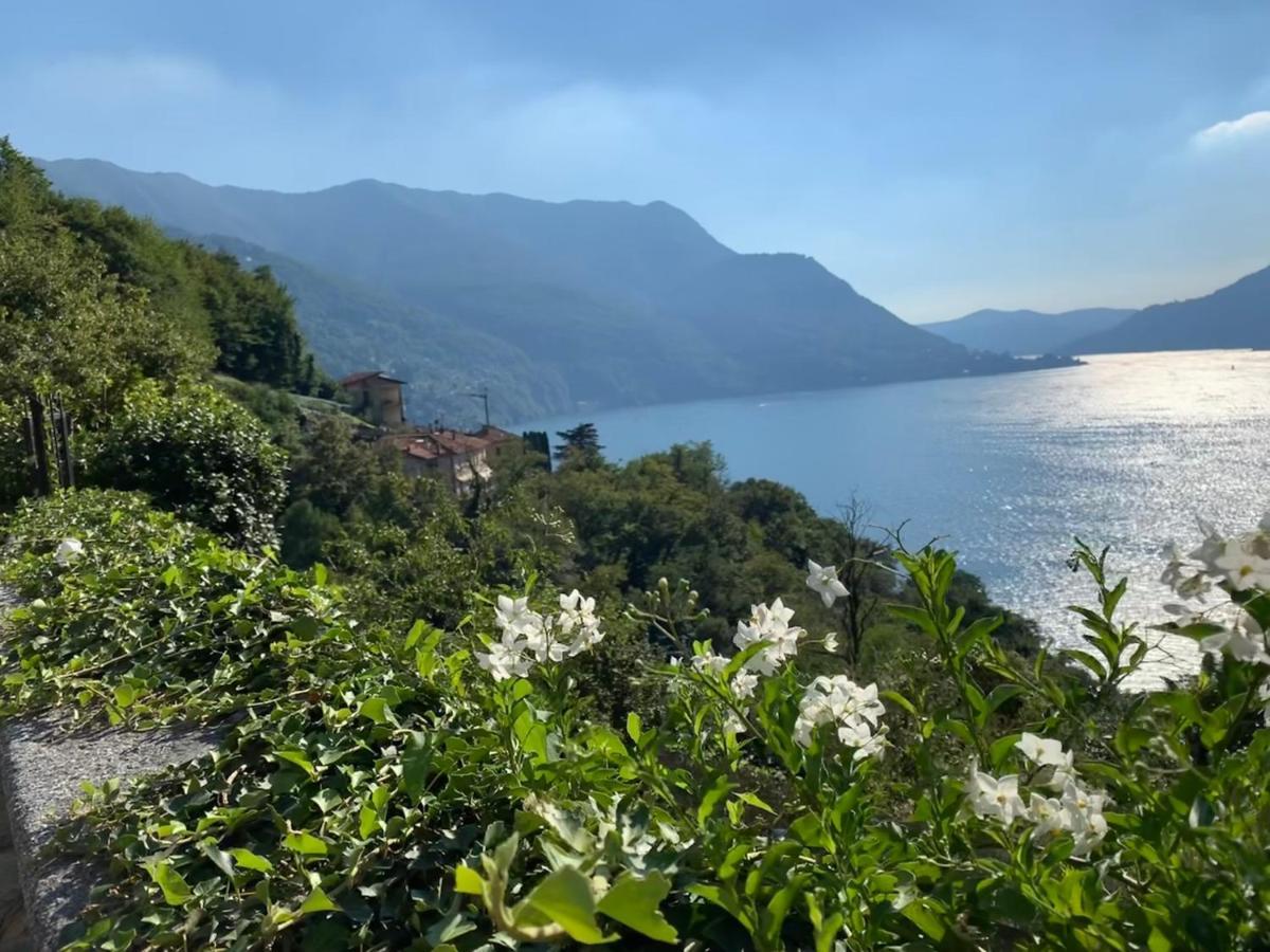 Apartment Casa Dono Il Lago Pognana Lario エクステリア 写真