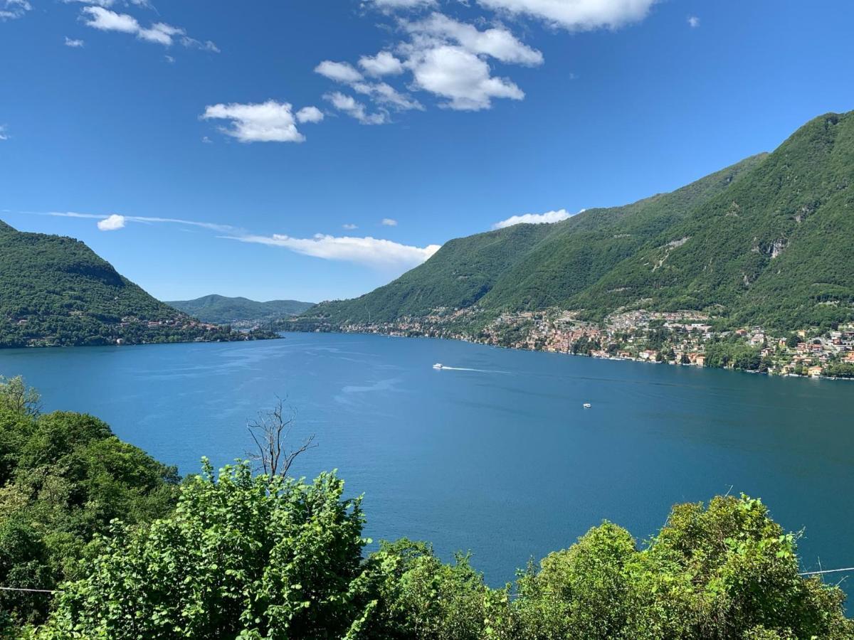 Apartment Casa Dono Il Lago Pognana Lario エクステリア 写真