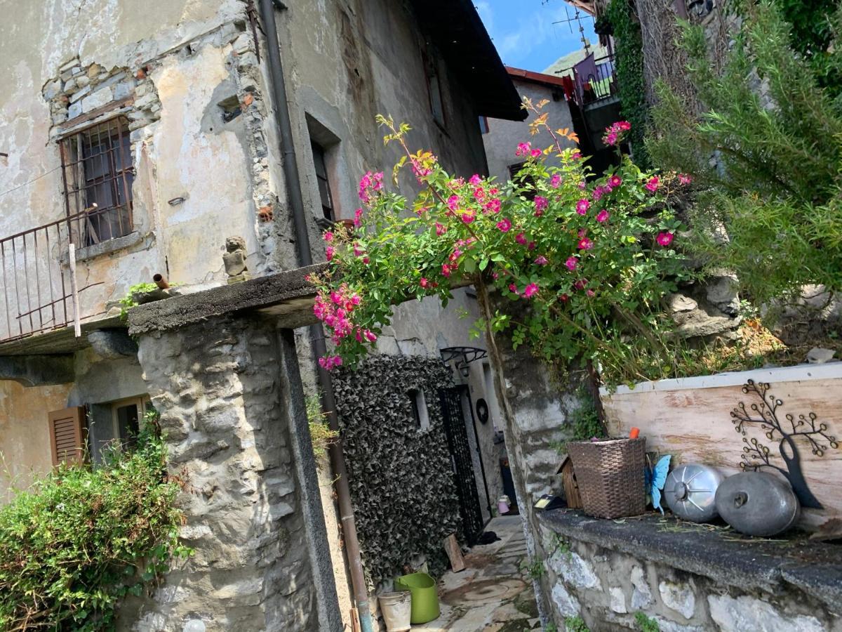 Apartment Casa Dono Il Lago Pognana Lario エクステリア 写真