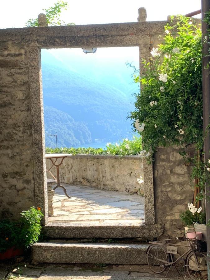 Apartment Casa Dono Il Lago Pognana Lario エクステリア 写真