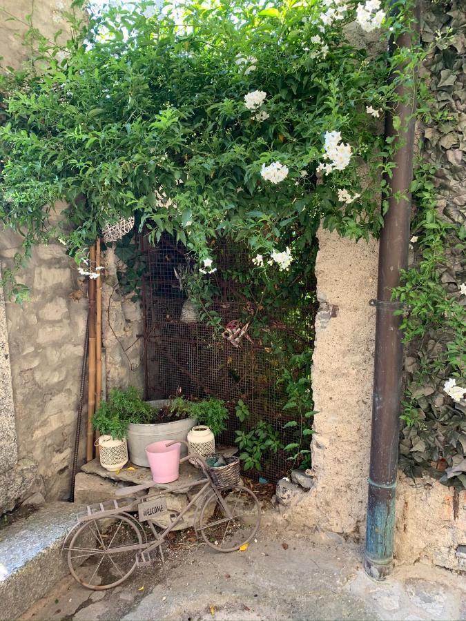 Apartment Casa Dono Il Lago Pognana Lario エクステリア 写真